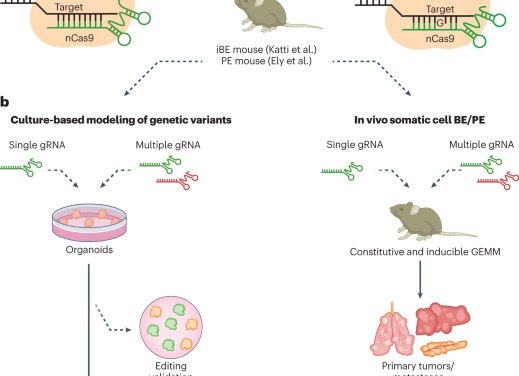 Cancer variant modeling in vivo