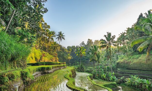 A taste of Bali, from spit-roast pig to sticky rice pudding