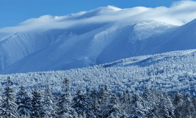 Hokkaido on four wheels: How to explore Japan’s wild north