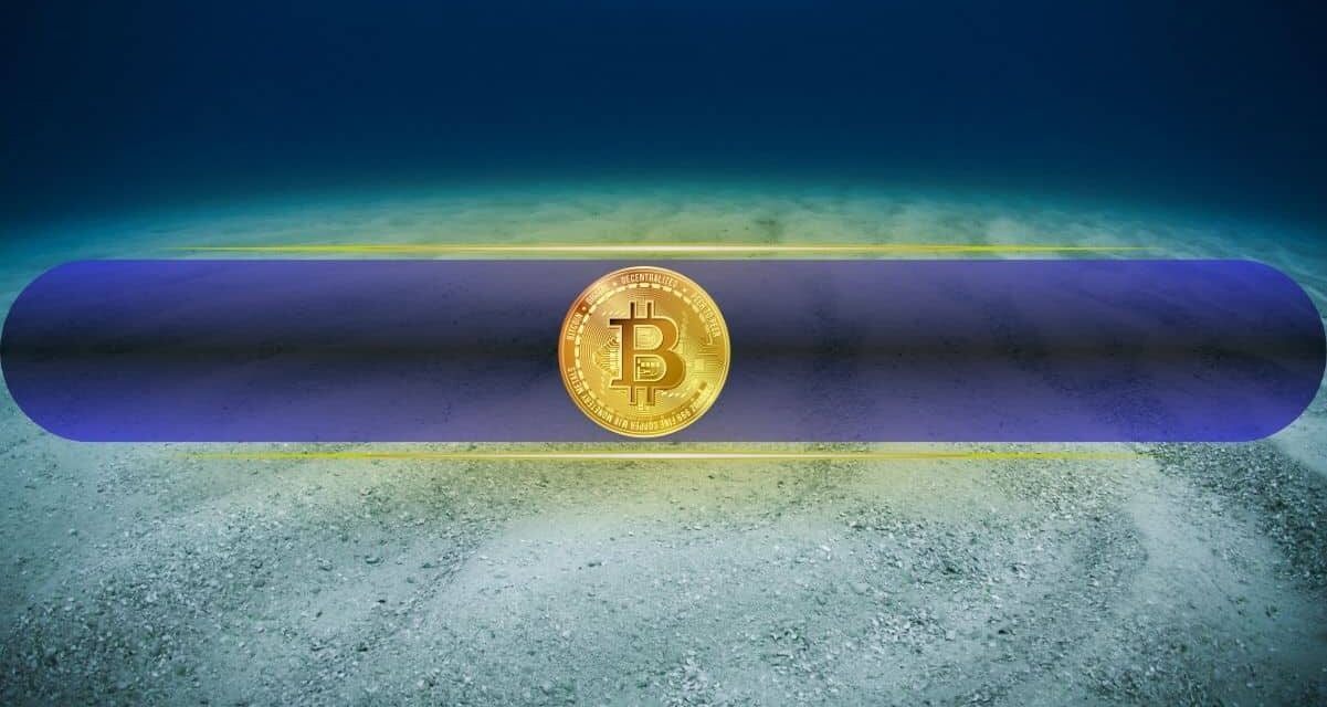 What Needs to Happen for Bitcoin to Mark a Local Bottom? CryptoQuant Reports