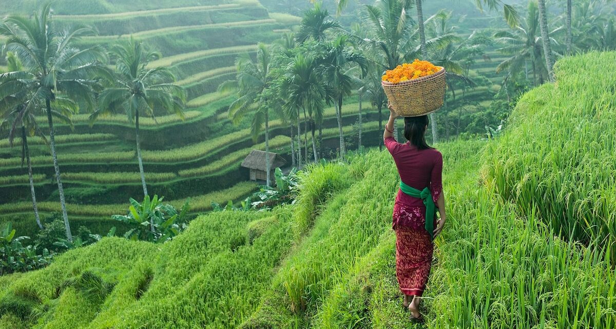 How to plan a trip to Bali, Indonesia