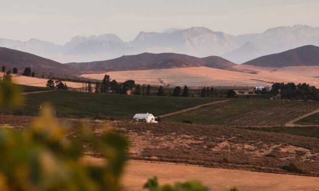 Meet the new winemakers taking South Africa by storm