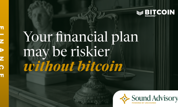 Your financial plan may be riskier without bitcoin