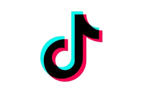 TikTok Announces New Brand Safety Controls and Expanded Ad Verification Partnerships