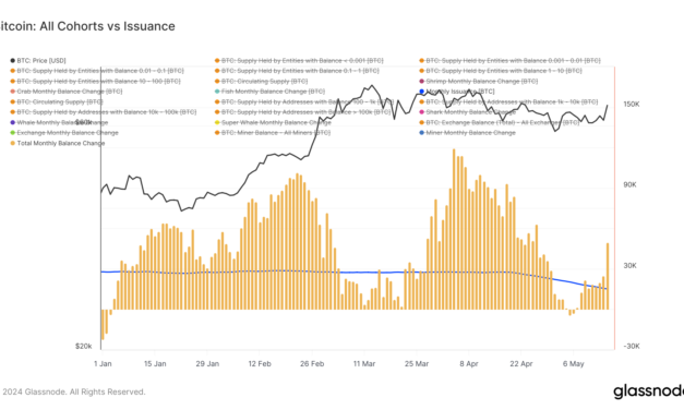 Bitcoin shrimps outpace monthly issuance, accumulating 25,000 BTC in 30 days