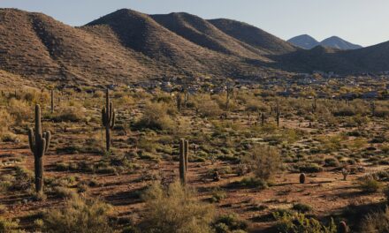 A guide to Scottsdale, Arizona’s desert gateway