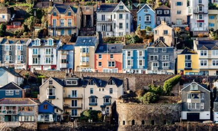 Super-size your farm shop experience with a food tour of South Devon