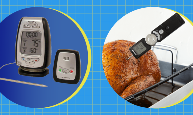 The 12 Best Meat Thermometers in 2024, Tested by Editors