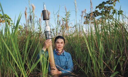 There’s mercury in the Amazon. This scientist is tracking it down.