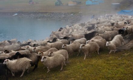 Experience Greenland’s Inuit and Viking farming traditions on this stunning trail