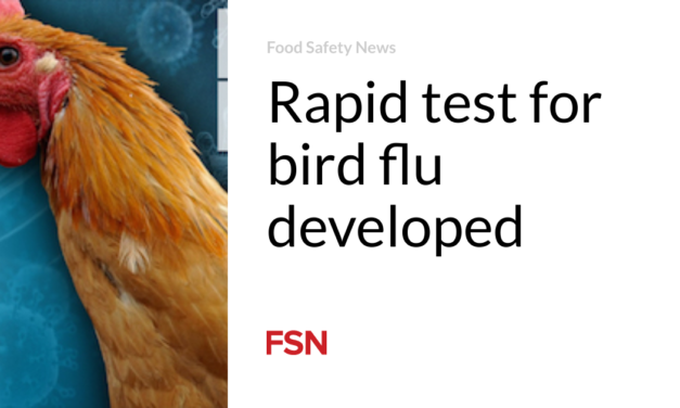 Rapid test for bird flu developed