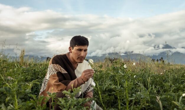 Meet ‘potato whisperer’ Manuel Choqque Bravo, who grows super potatoes in the Peruvian Andes