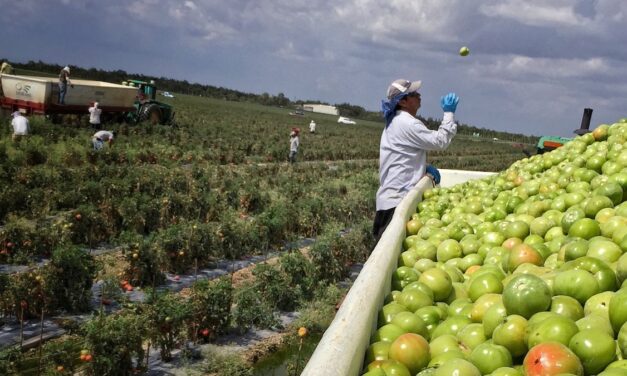 Florida is actually a top farming state. But that status may not last.