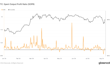 Bitcoin’s Spent Output Profit Ratio shows volatility amid post-halving corrections