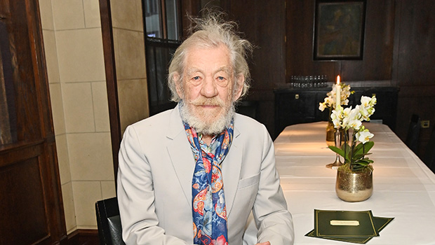 Ian McKellen Reportedly Hospitalized During London Theater Production