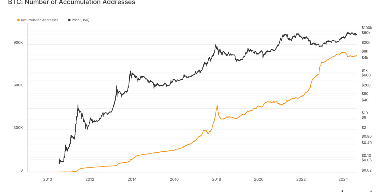 Bitcoin accumulation addresses see steady rise