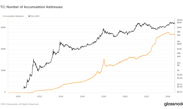 Bitcoin accumulation addresses see steady rise