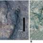 Matching dinosaur footprints found on opposite sides of the Atlantic Ocean