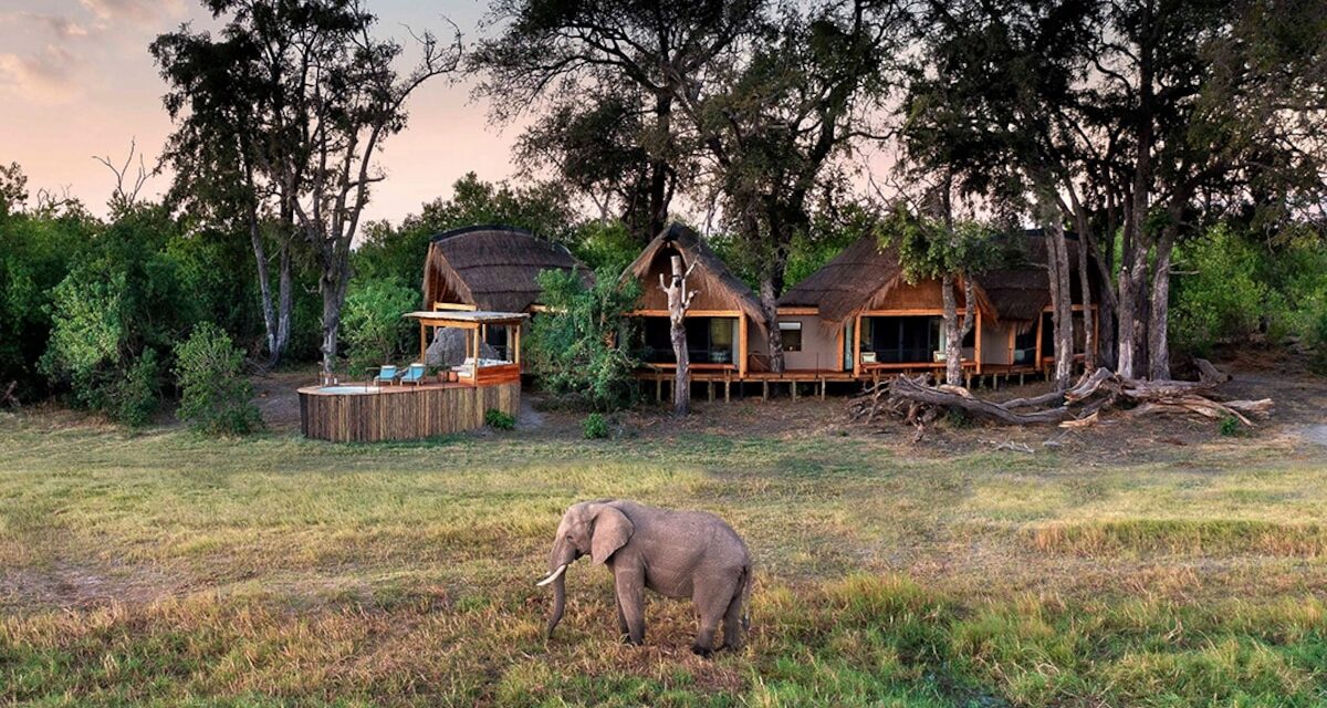 Do luxury safaris make a difference?