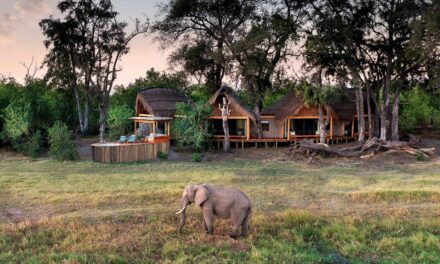 Do luxury safaris make a difference?