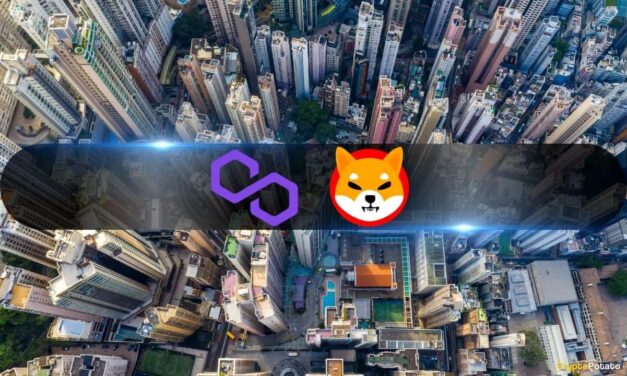 Centralization Threats Loom as Polygon and Shiba Inu Exhibit High Concentration Among Top Wallets