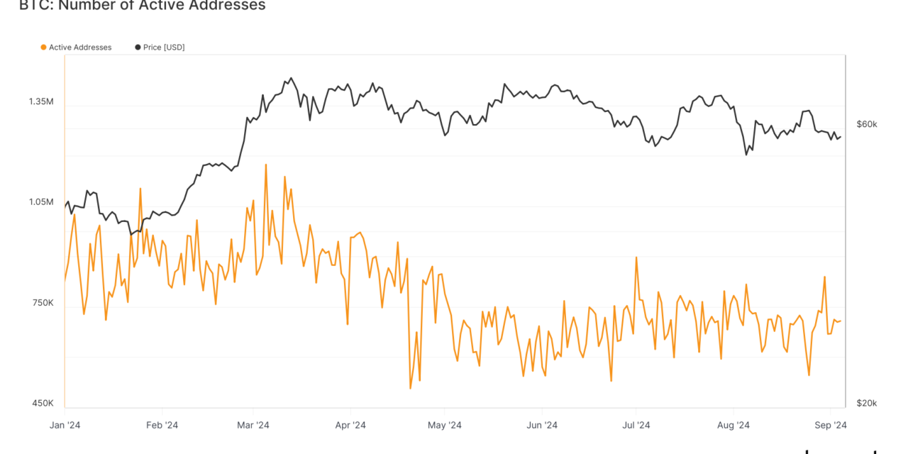 Bitcoin’s active address volatility highlights user engagement beyond price cycles