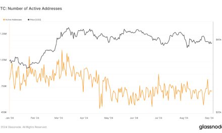 Bitcoin’s active address volatility highlights user engagement beyond price cycles