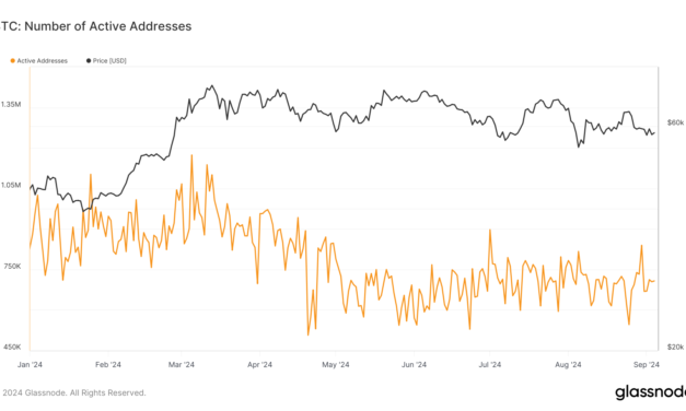 Bitcoin’s active address volatility highlights user engagement beyond price cycles