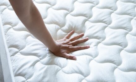 The best organic mattresses in 2024