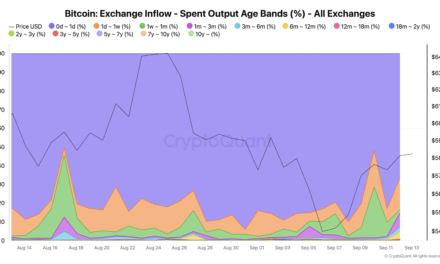 92% of Bitcoin exchange inflows come from short-term holders