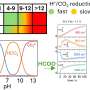 Chemical engineers provide new insights in CO₂ conversion with electricity