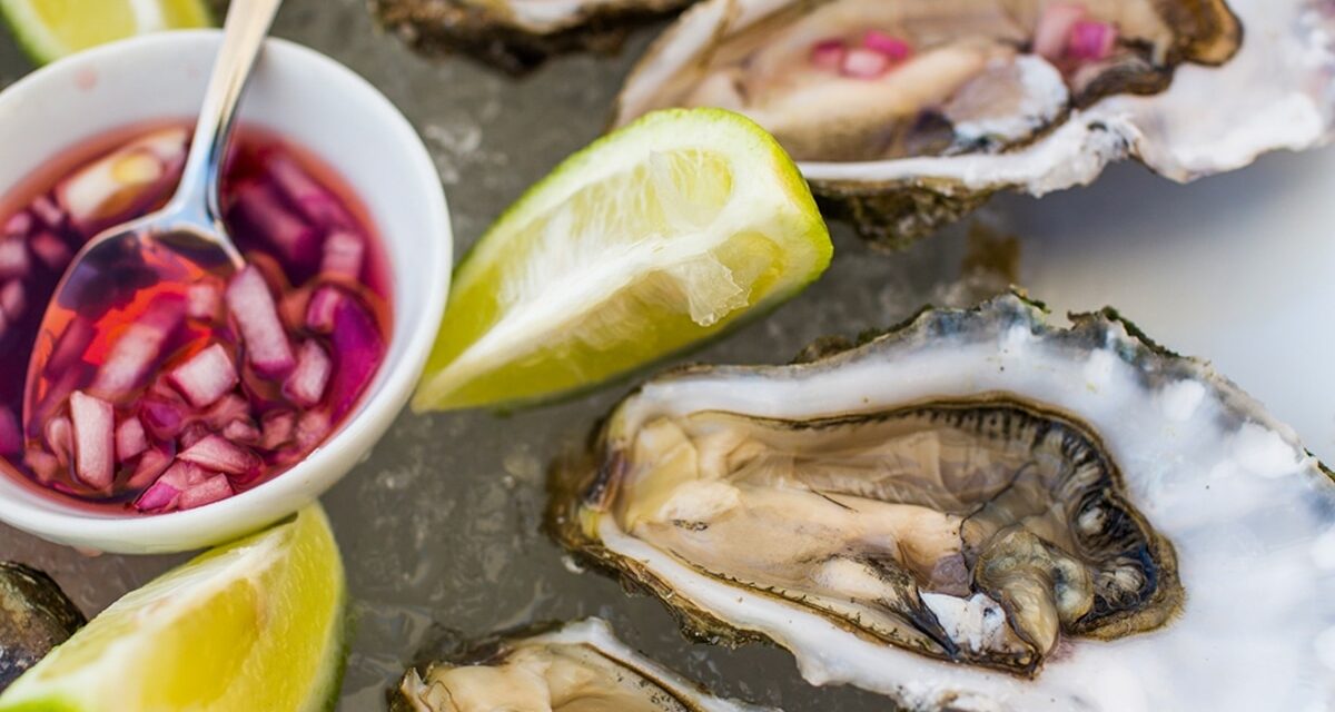 The Moroccan oyster destination you’ve never heard of: Oualidia