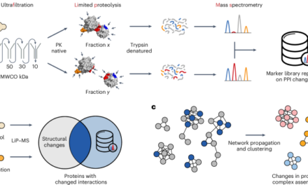 Global profiling of protein complex dynamics with an experimental library of protein interaction markers