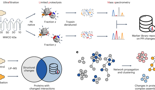 Global profiling of protein complex dynamics with an experimental library of protein interaction markers