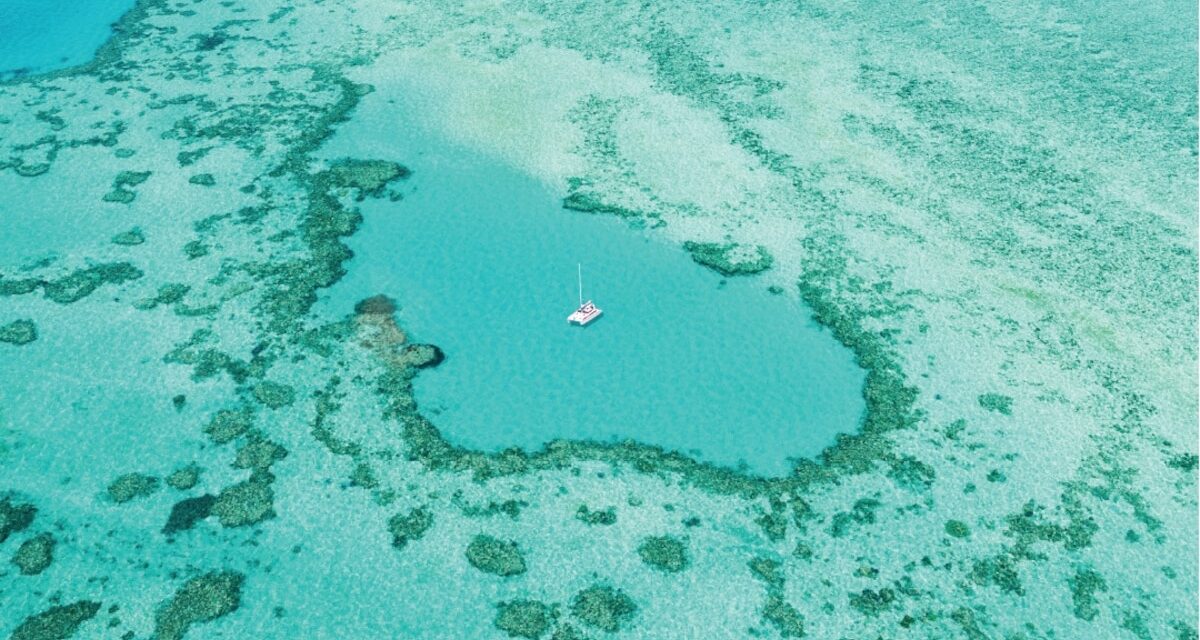 How travelers can help protect the Great Barrier Reef’s corals