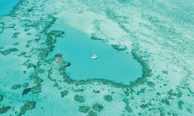 How travelers can help protect the Great Barrier Reef’s corals