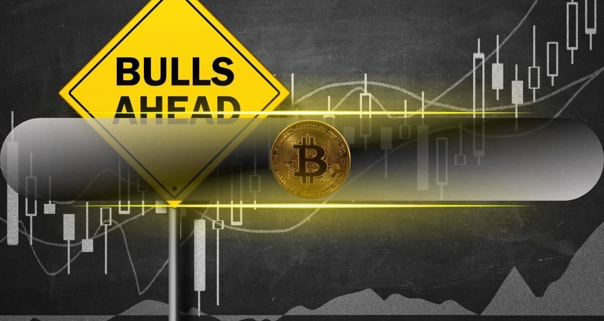 Will Bitcoin Repeat History? On-Chain Data Suggests a Q4 Breakout: CryptoQuant