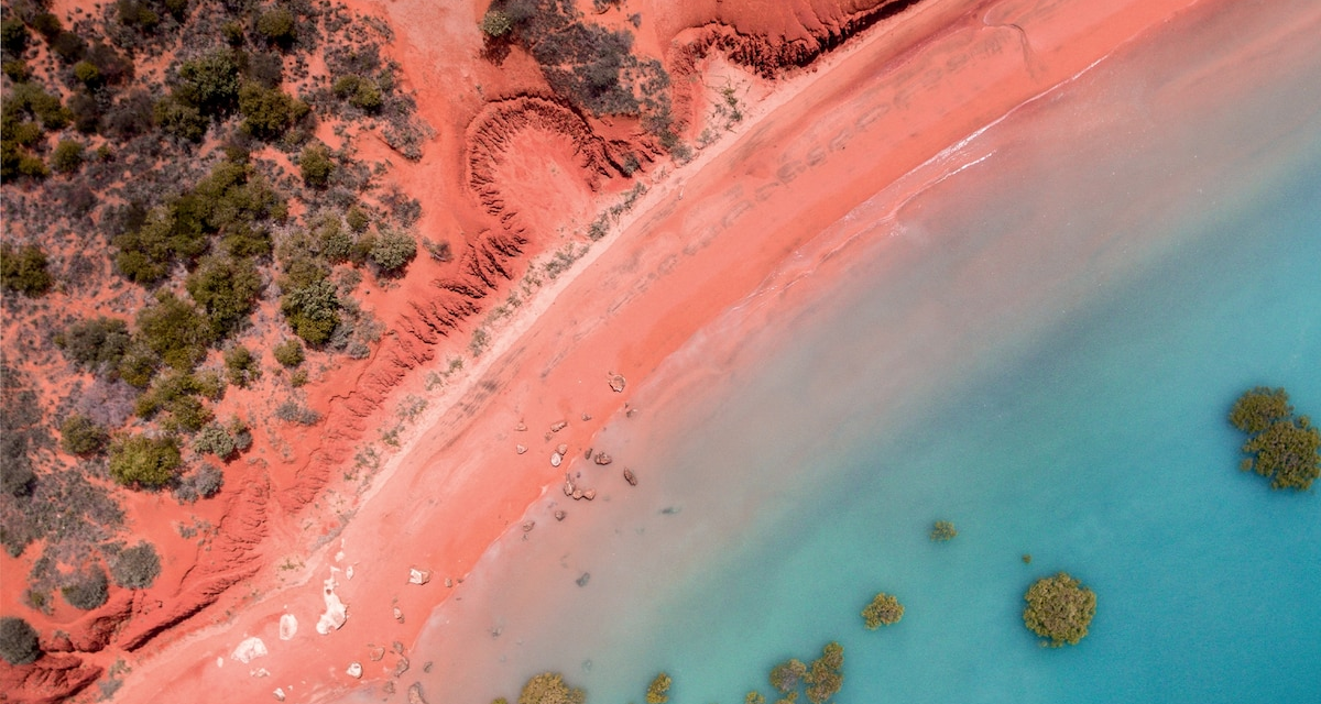 Take a mangrove foraging tour with Broome’s Aboriginal custodians in Australia