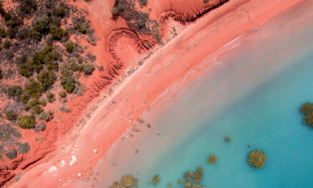 Take a mangrove foraging tour with Broome’s Aboriginal custodians in Australia