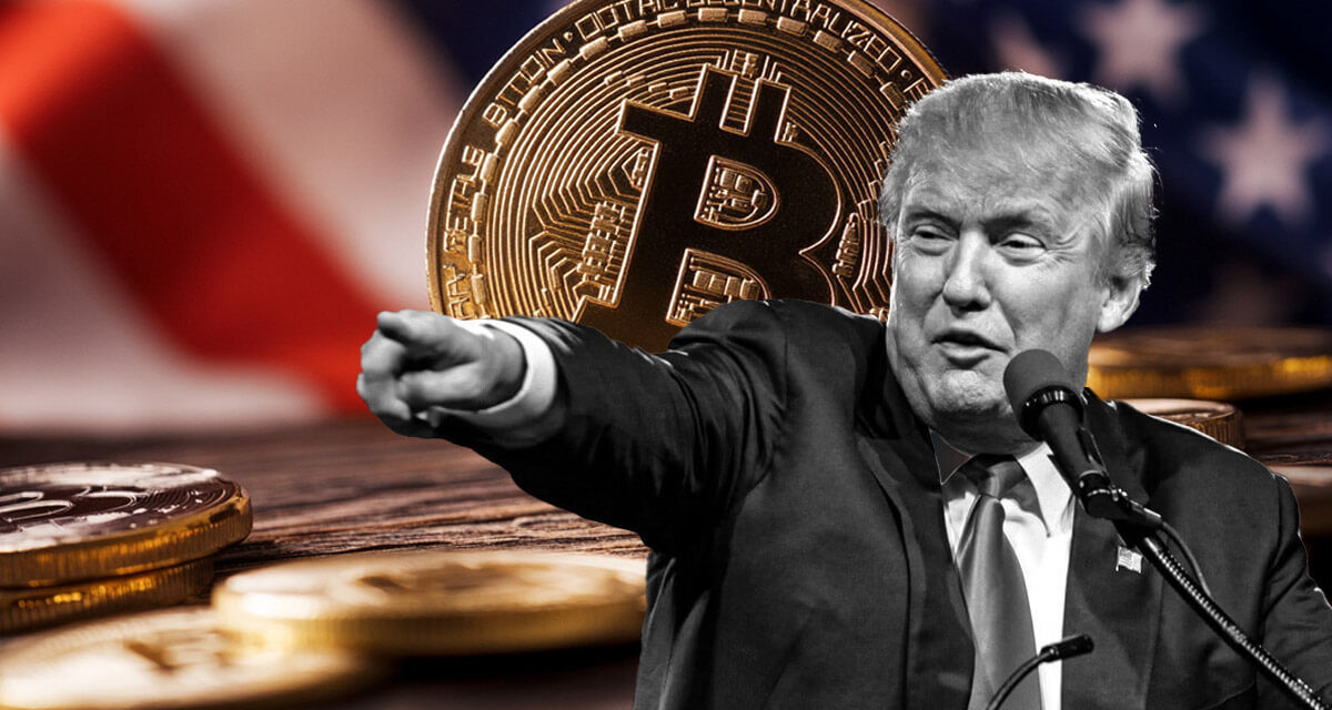 Excitement over Trump’s win pushes Bitcoin price above $80k