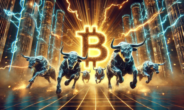 Are Retail Investors Behind The Bitcoin Price Surge This Bull Run?