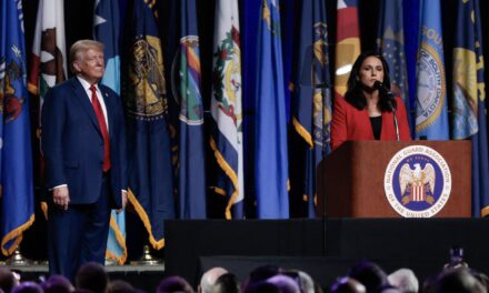 Who Is Tulsi Gabbard? 5 Things to Know About Trump’s National Intelligence Pick