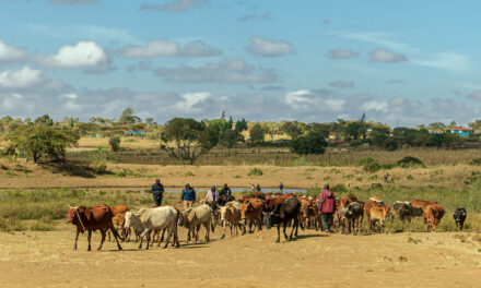 The world is getting smaller for pastoralists facing multiple threats