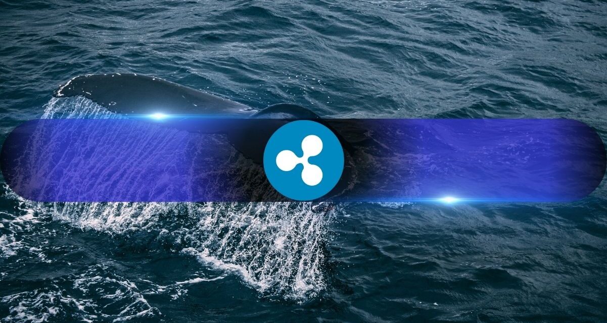 Ripple Whale Deposits to Binance Reach 6-Month High, Over 2.66 Billion XRP Transferred