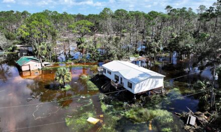 ‘Flesh-eating’ bacteria cases rise in Florida after 2024 hurricanes