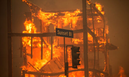 Jamie Lee Curtis Makes $1 Million Donation to L.A. Wildfire Relief Fund