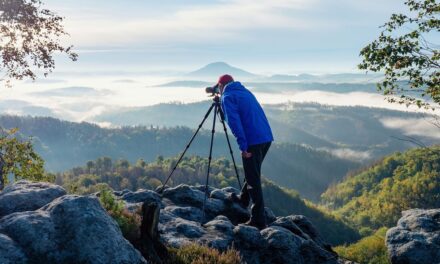 The best camera tripods of 2025