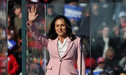 Does Tulsi Gabbard Have Kids? More About Her Family